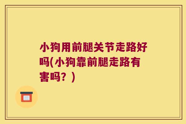 小狗用前腿关节走路好吗(小狗靠前腿走路有害吗?) 小狗用前腿关节走路好吗(小狗靠前腿走路有害吗?)
