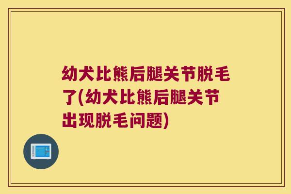 幼犬比熊后腿关节脱毛了(幼犬比熊后腿关节出现脱毛问题) 幼犬比熊后腿关节脱毛了(幼犬比熊后腿关节出现脱毛问题)