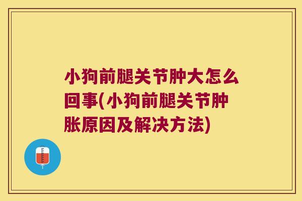 小狗前腿关节肿大怎么回事(小狗前腿关节原因及解决方法) 小狗前腿关节肿大怎么回事(小狗前腿关节原因及解决方法)