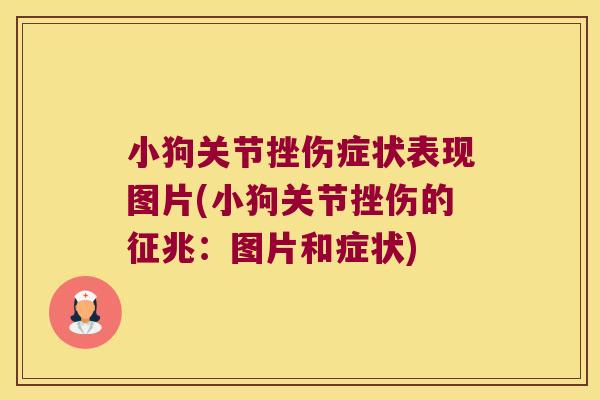 小狗关节挫伤症状表现图片(小狗关节挫伤的征兆：图片和症状)