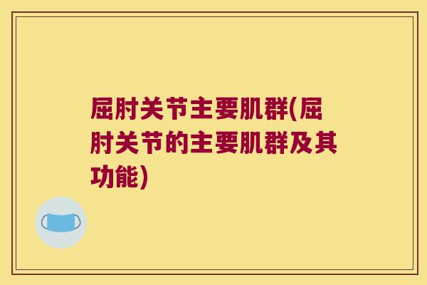 屈肘关节主要肌群(屈肘关节的主要肌群及其功能)