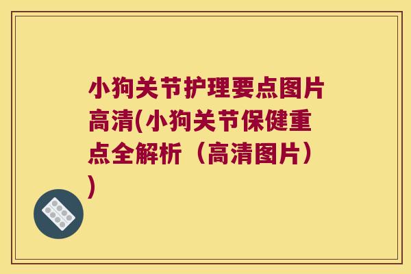 小狗关节护理要点图片高清(小狗关节保健重点全解析(高清图片)) 小狗关节护理要点图片高清(小狗关节保健重点全解析(高清图片))