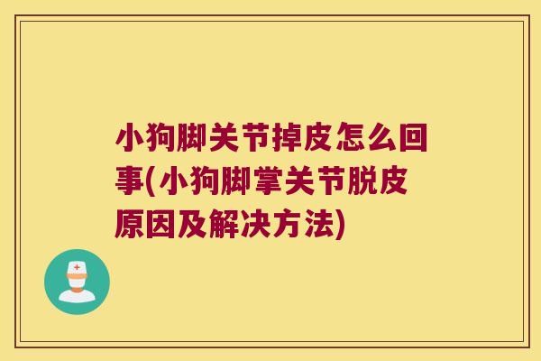 小狗脚关节掉皮怎么回事(小狗脚掌关节脱皮原因及解决方法) 小狗脚关节掉皮怎么回事(小狗脚掌关节脱皮原因及解决方法)