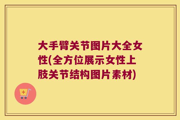 大手臂关节图片大全女性(全方位展示女性上肢关节结构图片素材)