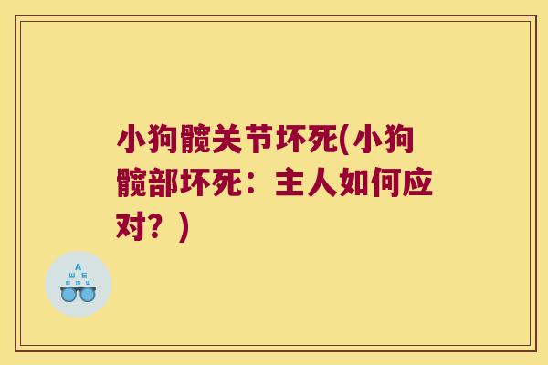 小狗髋关节坏死(小狗髋部坏死:主人如何应对?) 小狗髋关节坏死(小狗髋部坏死:主人如何应对?)
