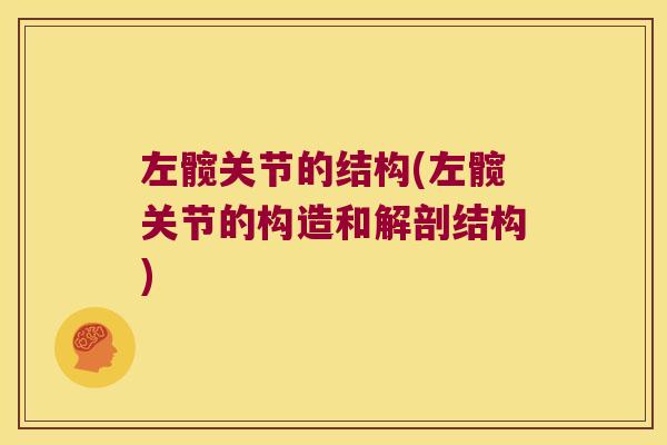 左髋关节的结构(左髋关节的构造和解剖结构)