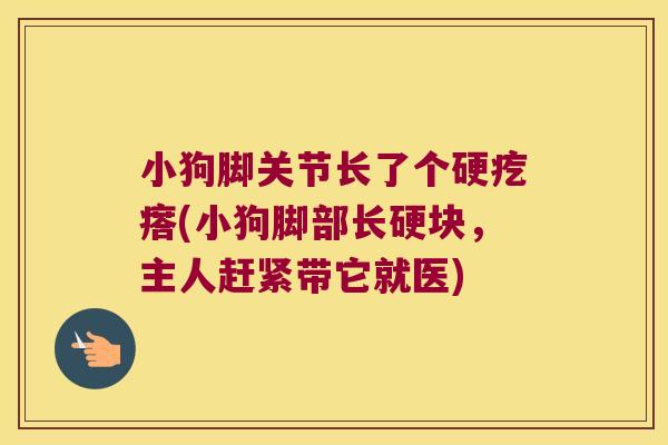 小狗脚关节长了个硬疙瘩(小狗脚部长硬块,主人赶紧带它就医) 小狗脚关节长了个硬疙瘩(小狗脚部长硬块,主人赶紧带它就医)