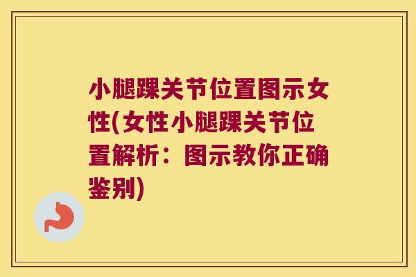 小腿踝关节位置图示女性(女性小腿踝关节位置解析:图示教你正确鉴别) 小腿踝关节位置图示女性(女性小腿踝关节位置解析:图示教你正确鉴别)