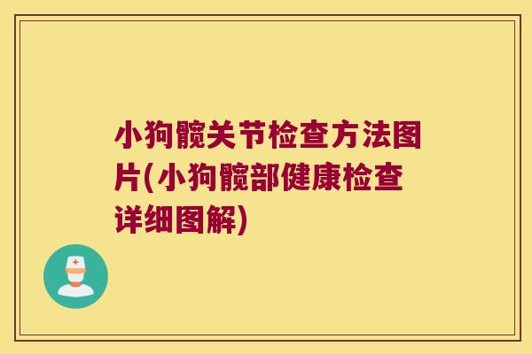 小狗髋关节检查方法图片(小狗髋部健康检查详细图解) 小狗髋关节检查方法图片(小狗髋部健康检查详细图解)