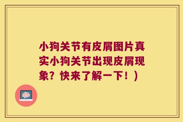 小狗关节有皮屑图片真实小狗关节出现皮屑现象？快来了解一下！)