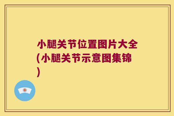 小腿关节位置图片大全(小腿关节示意图集锦)