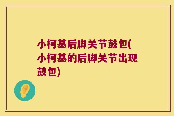 小柯基后脚关节鼓包(小柯基的后脚关节出现鼓包) 小柯基后脚关节鼓包(小柯基的后脚关节出现鼓包)