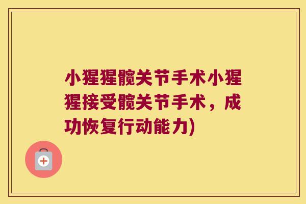 小猩猩髋关节手术小猩猩接受髋关节手术，成功恢复行动能力)