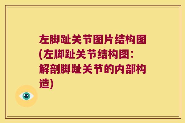 左脚趾关节图片结构图(左脚趾关节结构图:解剖脚趾关节的内部构造) 左脚趾关节图片结构图(左脚趾关节结构图:解剖脚趾关节的内部构造)