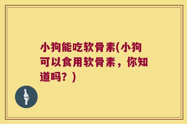 小狗能吃软骨素(小狗可以食用软骨素，你知道吗？)