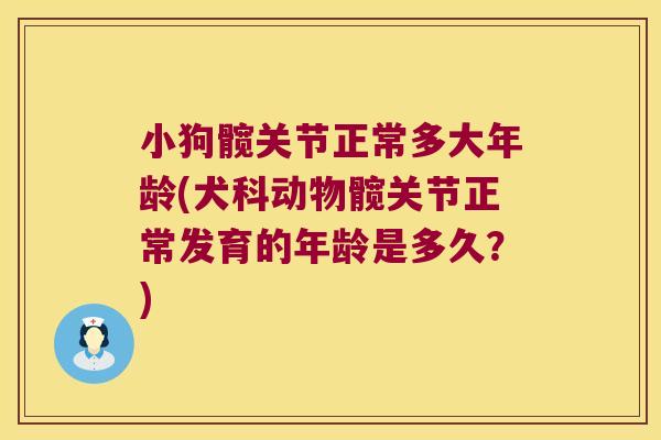 小狗髋关节正常多大年龄(犬科动物髋关节正常发育的年龄是多久？)