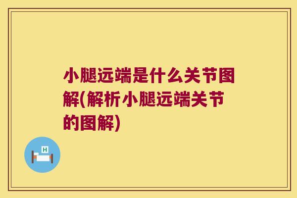 小腿远端是什么关节图解(解析小腿远端关节的图解) 小腿远端是什么关节图解(解析小腿远端关节的图解)