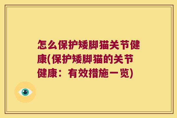 怎么保护矮脚猫关节健康(保护矮脚猫的关节健康:有效措施一览) 怎么保护矮脚猫关节健康(保护矮脚猫的关节健康:有效措施一览)