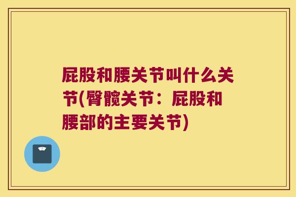 屁股和腰关节叫什么关节(臀髋关节:屁股和腰部的主要关节) 屁股和腰关节叫什么关节(臀髋关节:屁股和腰部的主要关节)