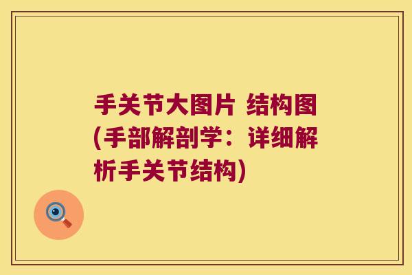 手关节大图片 结构图(手部解剖学：详细解析手关节结构)