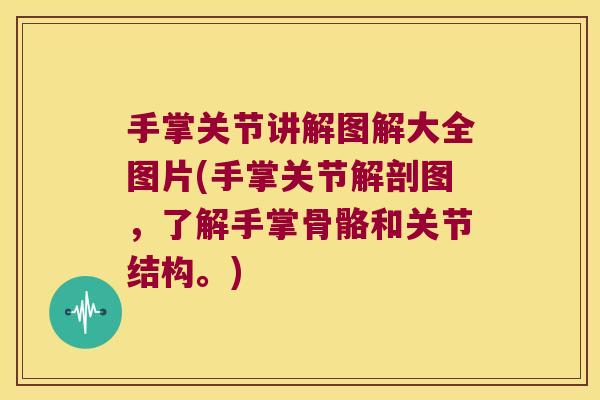 手掌关节讲解图解大全图片(手掌关节解剖图，了解手掌骨骼和关节结构。)