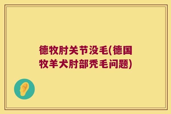 德牧肘关节没毛(德国牧羊犬肘部秃毛问题) 德牧肘关节没毛(德国牧羊犬肘部秃毛问题)