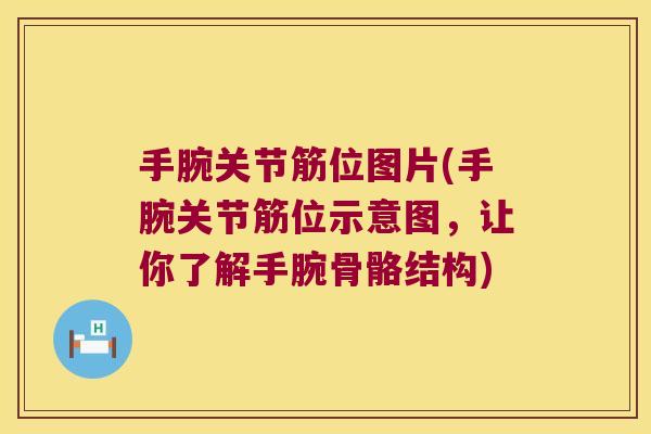 手腕关节筋位图片(手腕关节筋位示意图，让你了解手腕骨骼结构)
