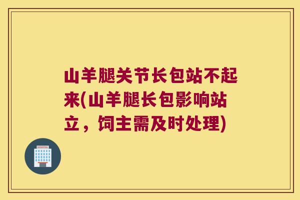 山羊腿关节长包站不起来(山羊腿长包影响站立,饲主需及时处理) 山羊腿关节长包站不起来(山羊腿长包影响站立,饲主需及时处理)