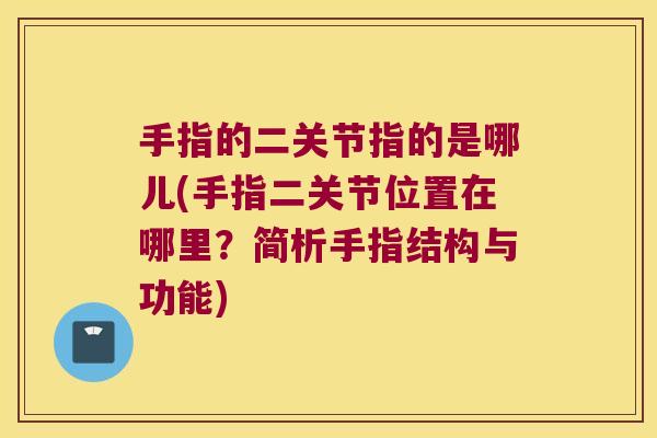 手指的二关节指的是哪儿(手指二关节位置在哪里？简析手指结构与功能)