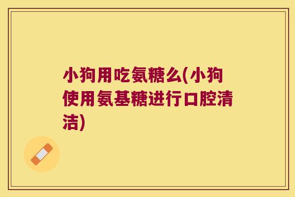 小狗用吃氨糖么(小狗使用氨基糖进行口腔清洁)