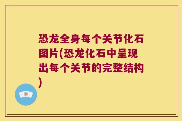恐龙全身每个关节化石图片(恐龙化石中呈现出每个关节的完整结构)