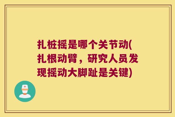 扎桩摇是哪个关节动(扎根动臂,研究人员发现摇动大脚趾是关键) 扎桩摇是哪个关节动(扎根动臂,研究人员发现摇动大脚趾是关键)