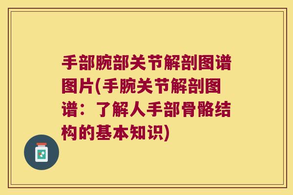 手部腕部关节解剖图谱图片(手腕关节解剖图谱：了解人手部骨骼结构的基本知识)
