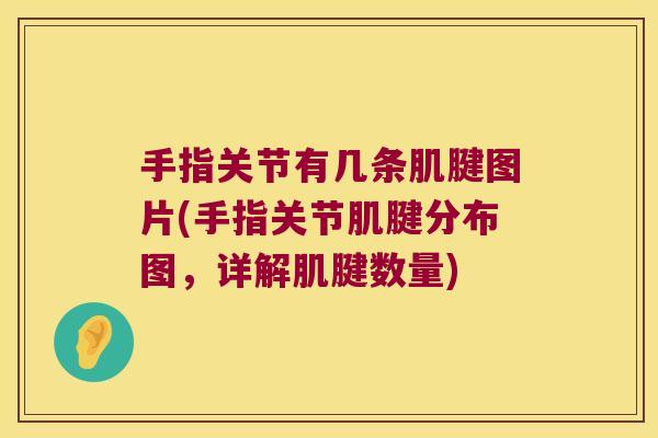 手指关节有几条肌腱图片(手指关节肌腱分布图，详解肌腱数量)