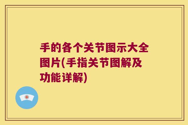 手的各个关节图示大全图片(手指关节图解及功能详解) 手的各个关节图示大全图片(手指关节图解及功能详解)