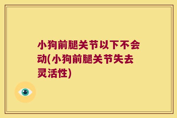 小狗前腿关节以下不会动(小狗前腿关节失去灵活性) 小狗前腿关节以下不会动(小狗前腿关节失去灵活性)