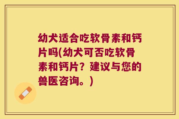 幼犬适合吃软骨素和钙片吗(幼犬可否吃软骨素和钙片？建议与您的兽医咨询。)