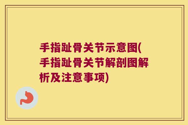 手指趾骨关节示意图(手指趾骨关节解剖图解析及注意事项)