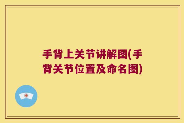 手背上关节讲解图(手背关节位置及命名图)