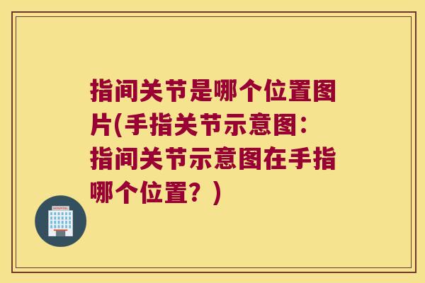 指间关节是哪个位置图片(手指关节示意图:指间关节示意图在手指哪个位置?) 指间关节是哪个位置图片(手指关节示意图:指间关节示意图在手指哪个位置?)