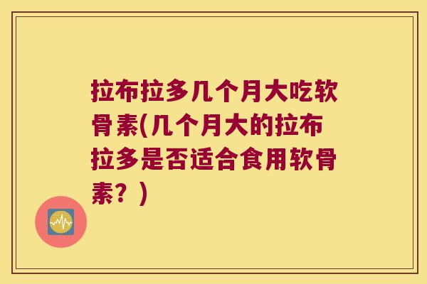 拉布拉多几个月大吃软骨素(几个月大的拉布拉多是否适合食用软骨素？)