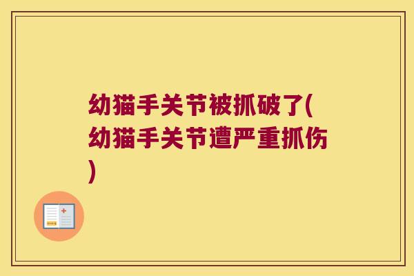 幼猫手关节被抓破了(幼猫手关节遭严重抓伤)