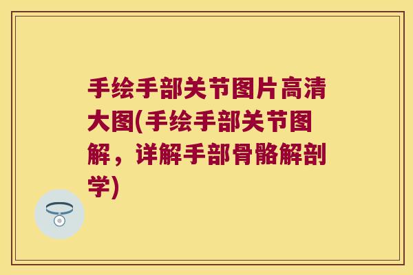 手绘手部关节图片高清大图(手绘手部关节图解,详解手部骨骼解剖学) 手绘手部关节图片高清大图(手绘手部关节图解,详解手部骨骼解剖学)