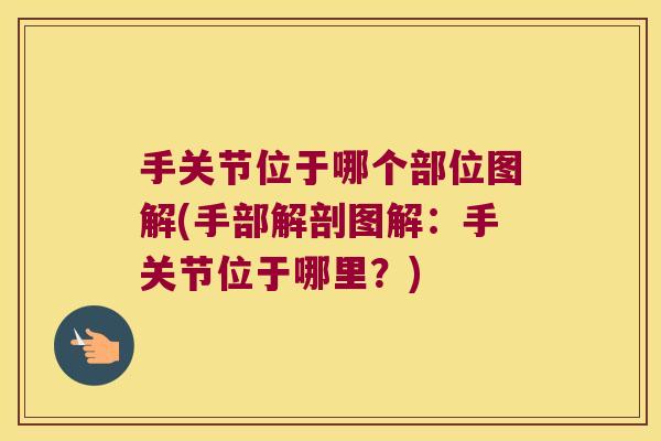 手关节位于哪个部位图解(手部解剖图解：手关节位于哪里？)