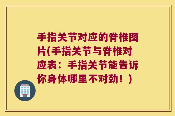 手指关节对应的脊椎图片(手指关节与脊椎对应表:手指关节能告诉你身体哪里不对劲!) 手指关节对应的脊椎图片(手指关节与脊椎对应表:手指关节能告诉你身体哪里不对劲!)