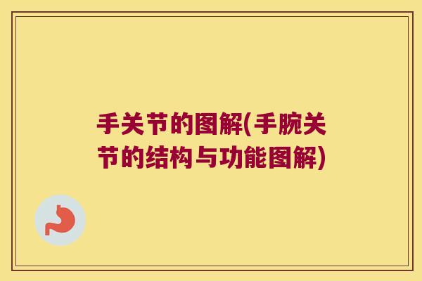 手关节的图解(手腕关节的结构与功能图解) 手关节的图解(手腕关节的结构与功能图解)