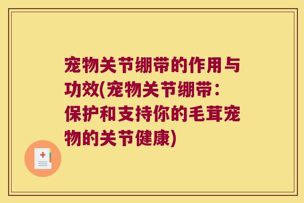 宠物关节绷带的作用与功效(宠物关节绷带：保护和支持你的毛茸宠物的关节健康)