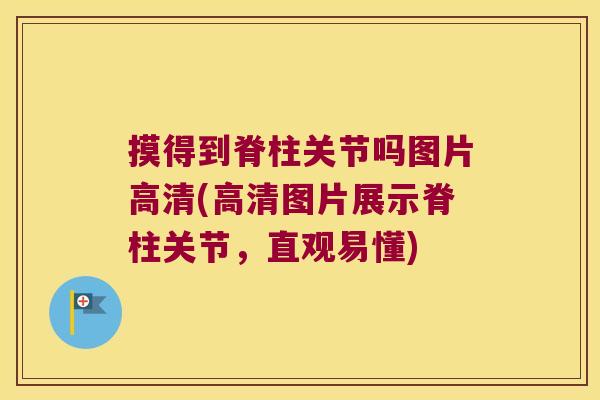 摸得到脊柱关节吗图片高清(高清图片展示脊柱关节，直观易懂)