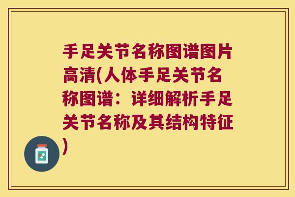 手足关节名称图谱图片高清(人体手足关节名称图谱:详细解析手足关节名称及其结构特征) 手足关节名称图谱图片高清(人体手足关节名称图谱:详细解析手足关节名称及其结构特征)