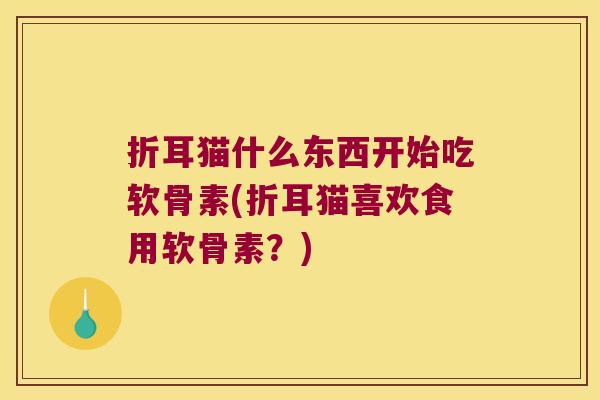 折耳猫什么东西开始吃软骨素(折耳猫喜欢食用软骨素？)